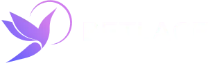 betlace logo